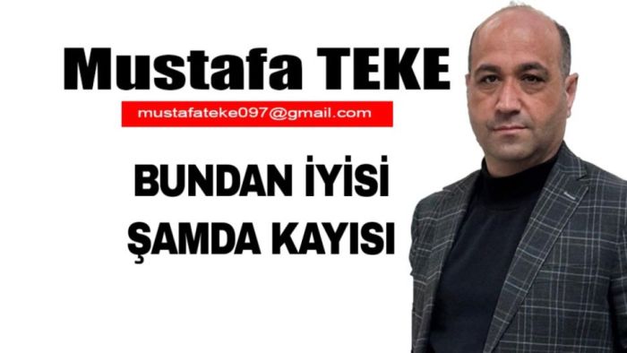 Mustafa Teke Yazdı.. BUNDAN İYİSİ ŞAMDA KAYSI