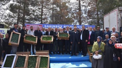 Şahinbey'den çiftçilere 7 milyon adet fide