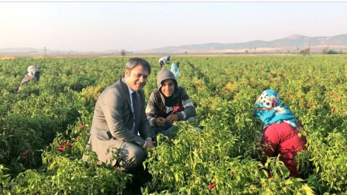 Şahin devreye girdi, Tarım Kredi İslahiye ve Nurdağı'na yöneldi