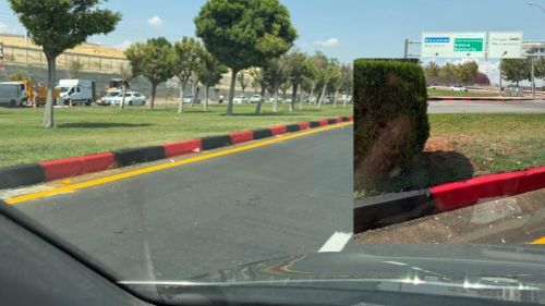 Gaziantep FK için yollar Kırmızı-Siyaha boyandı