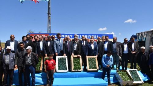 Şahinbeyli çiftçilere sertifikalı fide desteği