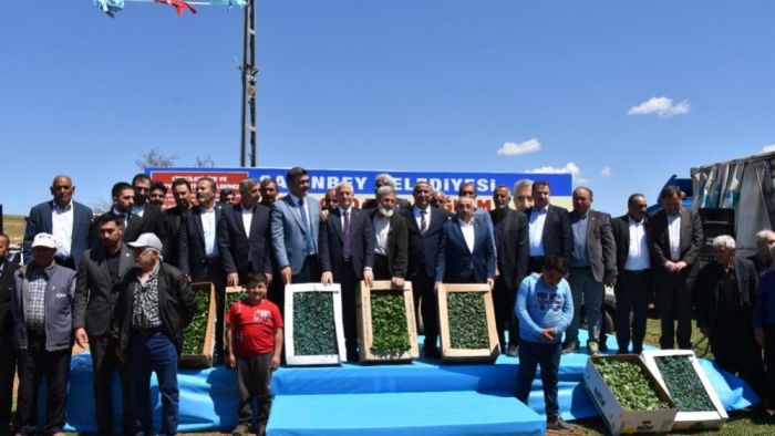 Şahinbeyli çiftçilere sertifikalı fide desteği