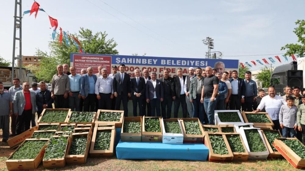 Şahinbey'de fide dağıtımı devam ediyor