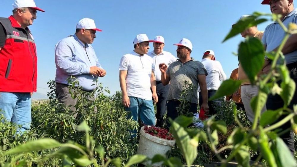 Milletvekili Şahin’den çiftçilere müjde