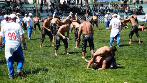 Türkiye Yağlı Güreş Ligi 2. Etabı, Gaziantep'te başladı