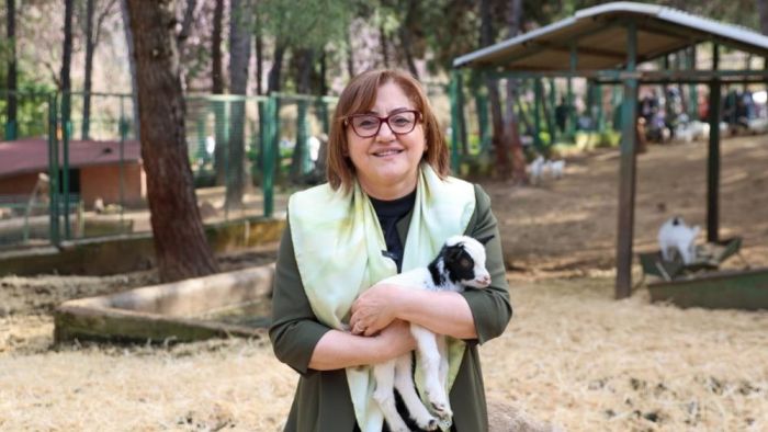 Zürafanın yavrusu yetim doğdu